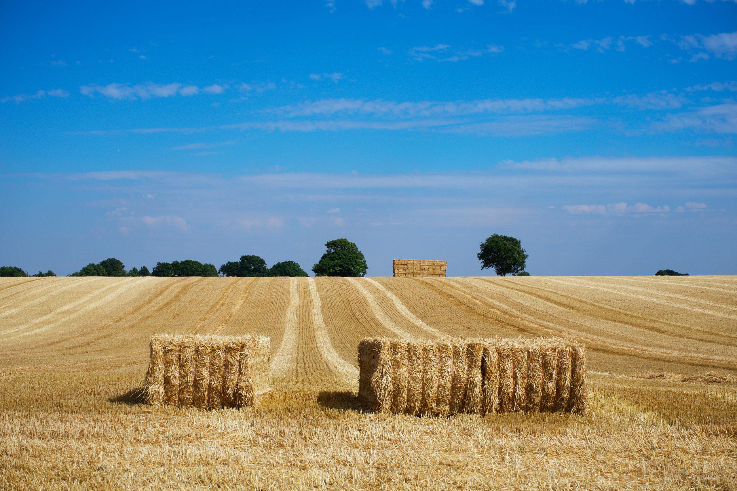 Three hay bales showcasing crop baling packaging used in our brochures and agricultural packaging solutions.