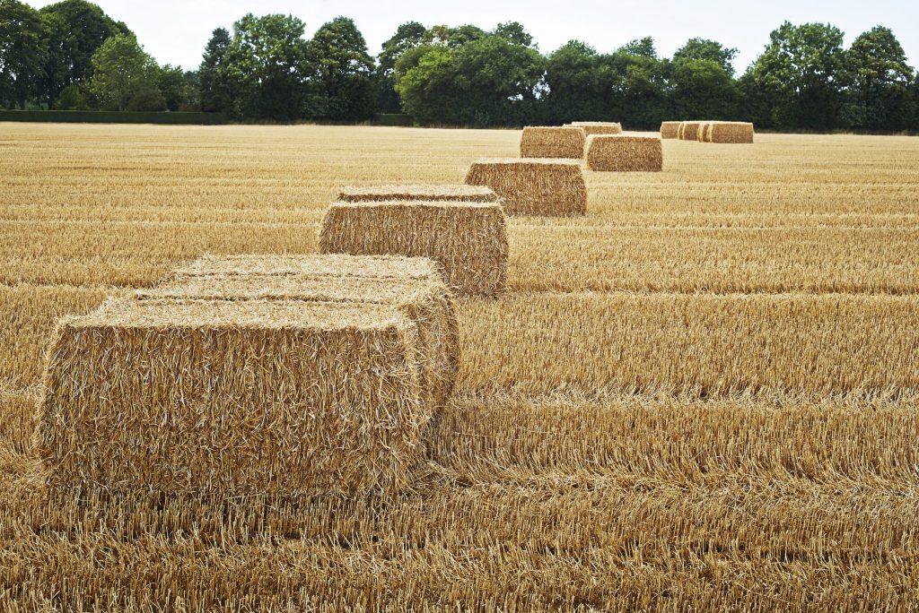 Twine-hay-bales-scaled