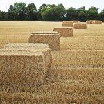 Twine-hay-bales-scaled
