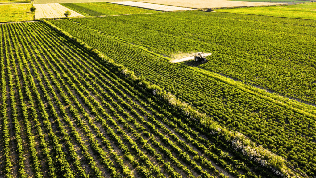 Aerial view of crops being treated, showing safe and efficient fertiliser & chemical packaging.