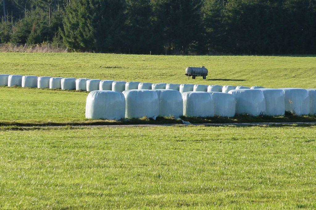 silage-2914659_1280