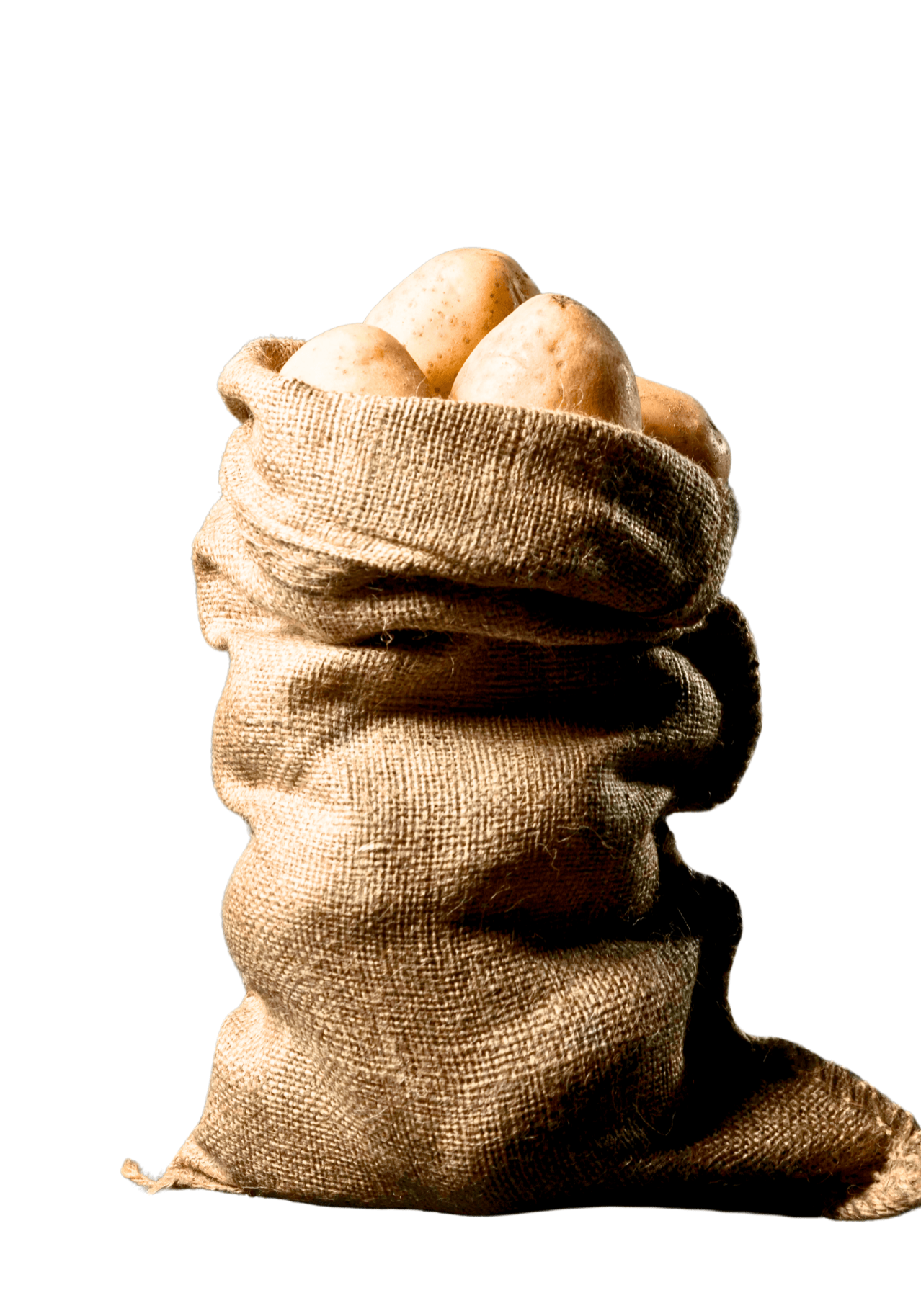 Hessian and jute are natural fibre fabrics known for their breathability, durability, and biodegradability.