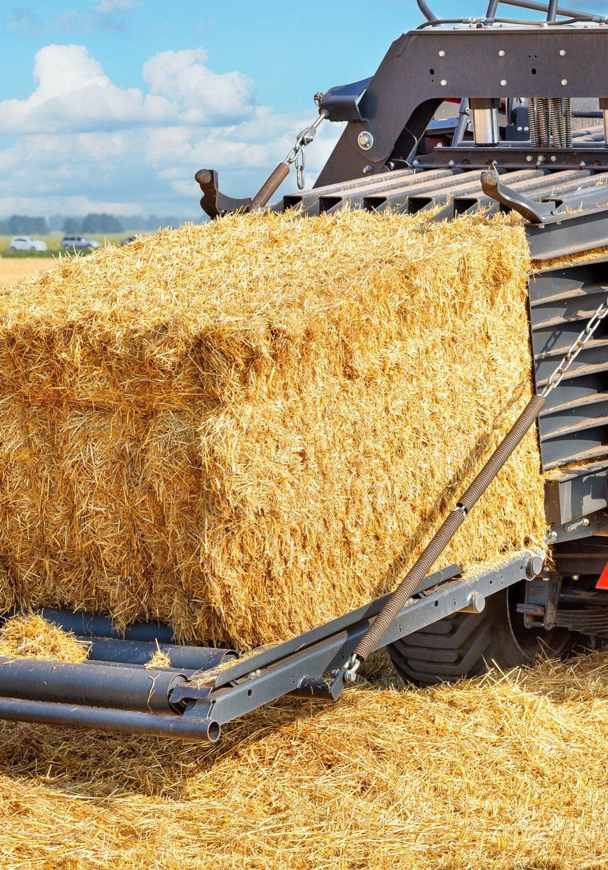 A fragment of an agricultural tractor forming bales of straw against the background of a field. A fragment of an agricultural tractor forming bales of straw against the background of a field.