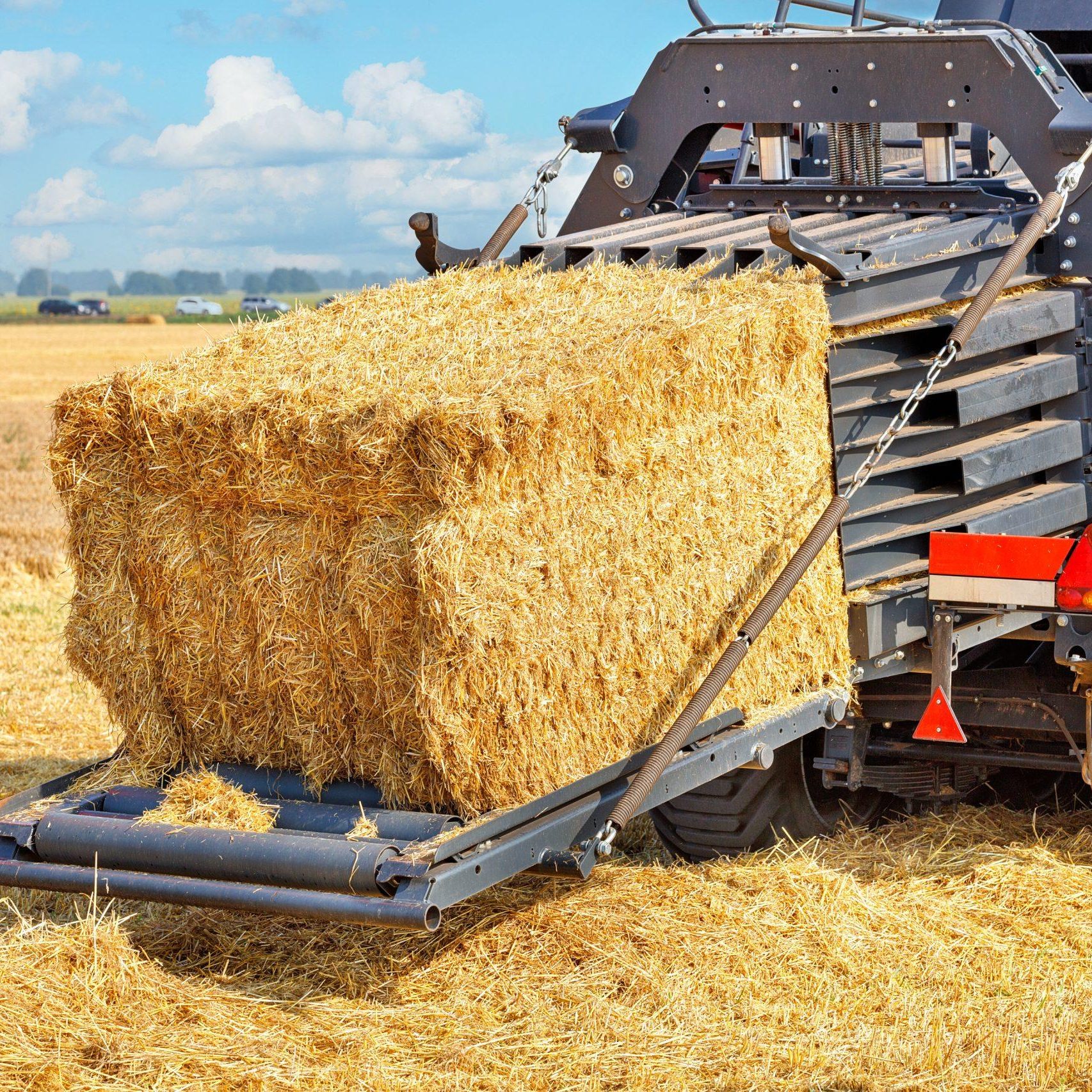 A fragment of an agricultural tractor forming bales of straw against the background of a field. A fragment of an agricultural tractor forming bales of straw against the background of a field.
